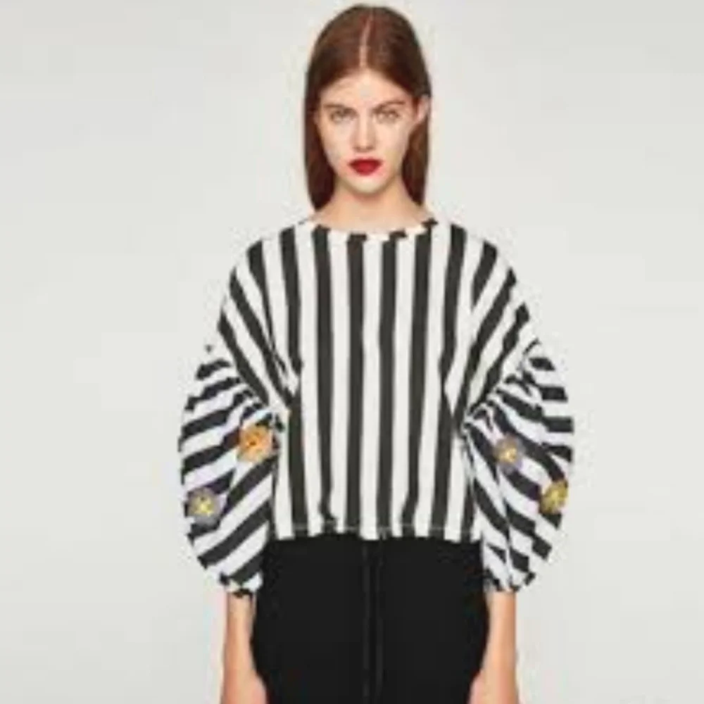 Zara Crop Top Puff Sleeve‎ Striped Embroidered